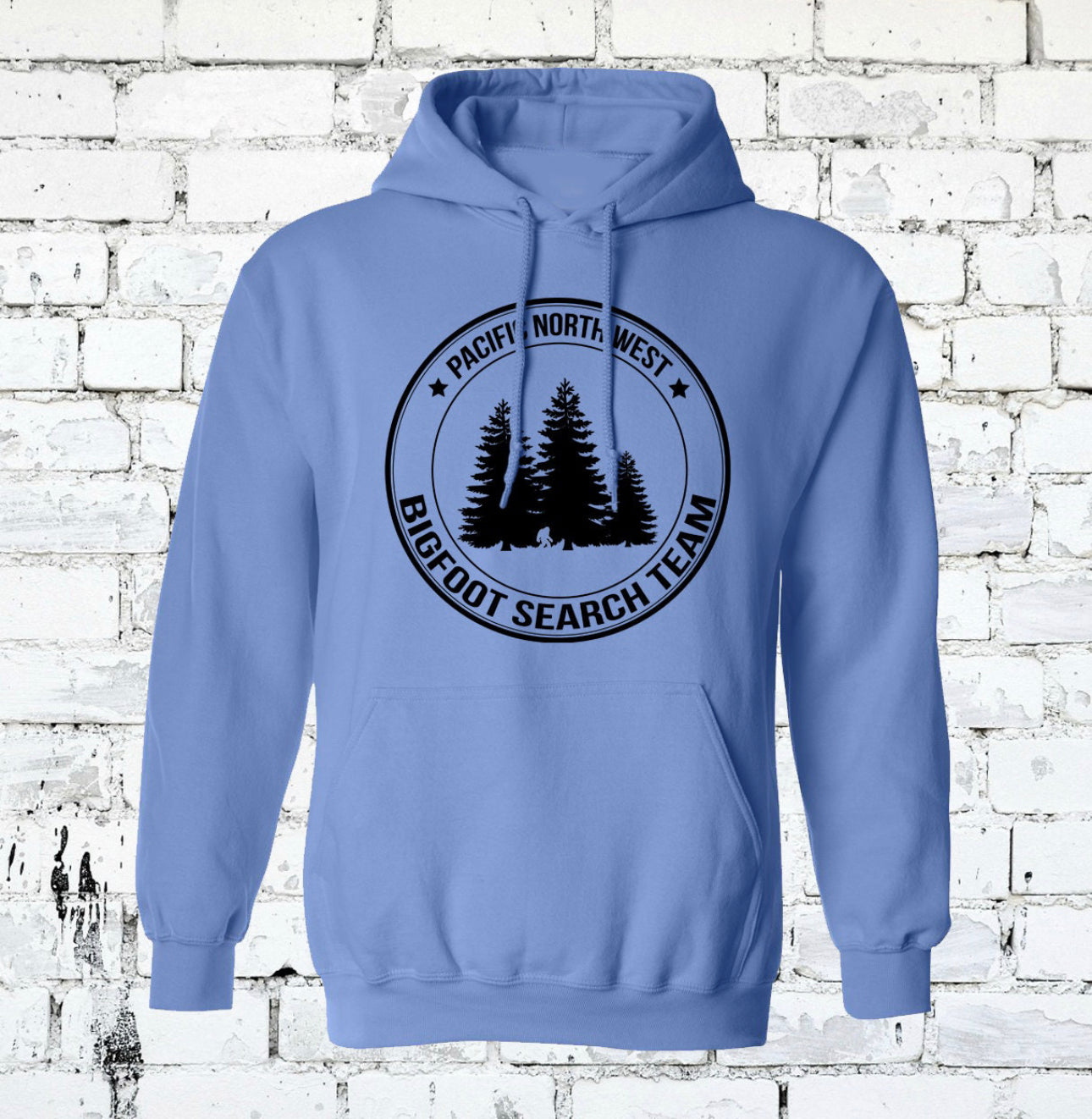 Bigfoot Search Team Graphic Hoodie