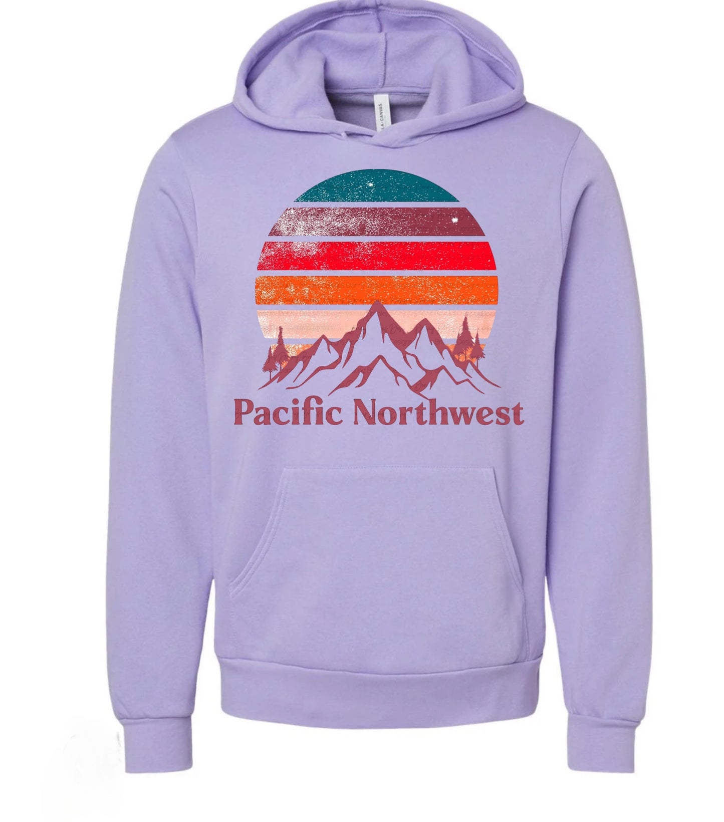 Vintage Pacific Northwest premium Hoodie